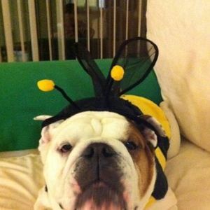 Meet your Posher, Jack